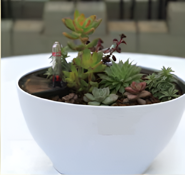 Self Watering Pots Planting