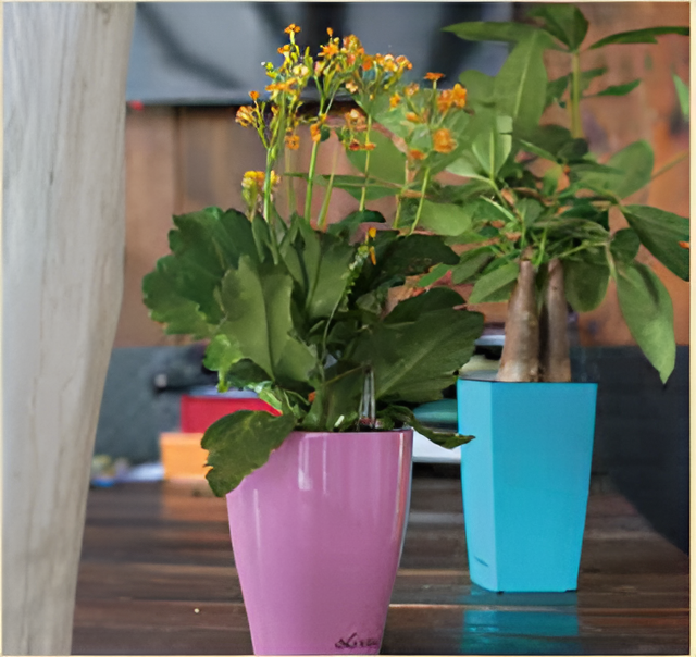 Self Watering Pots Planting