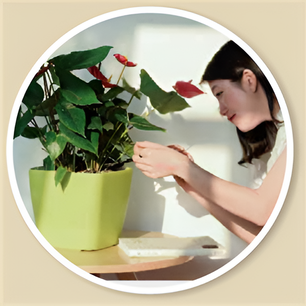 Self Watering Pots Planting