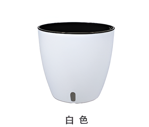 Flowers and Plants Pots