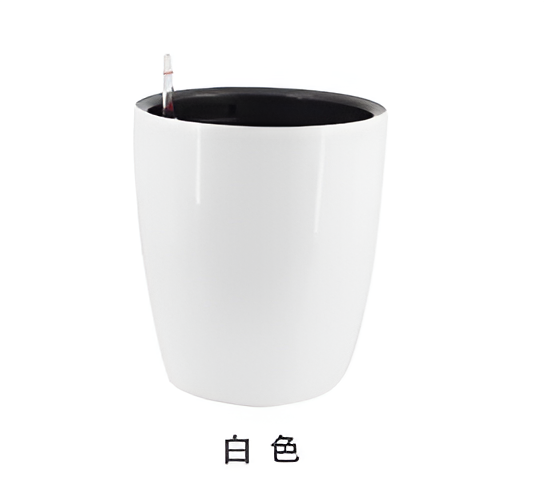 Flowers and Plants Pots