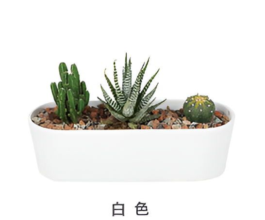 Flowers and Plants Pots