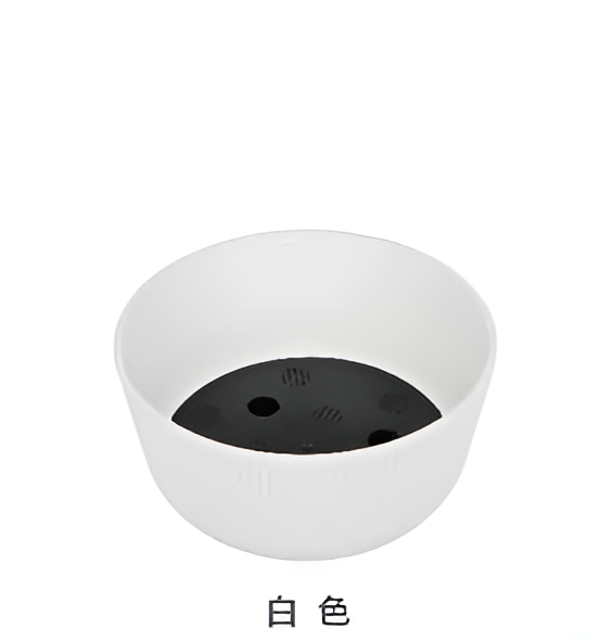 Flowers and Plants Pots