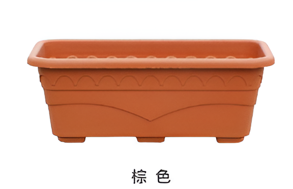 Flowers and Plants Pots