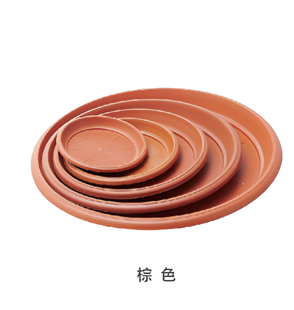 Flowers and Plants Pots