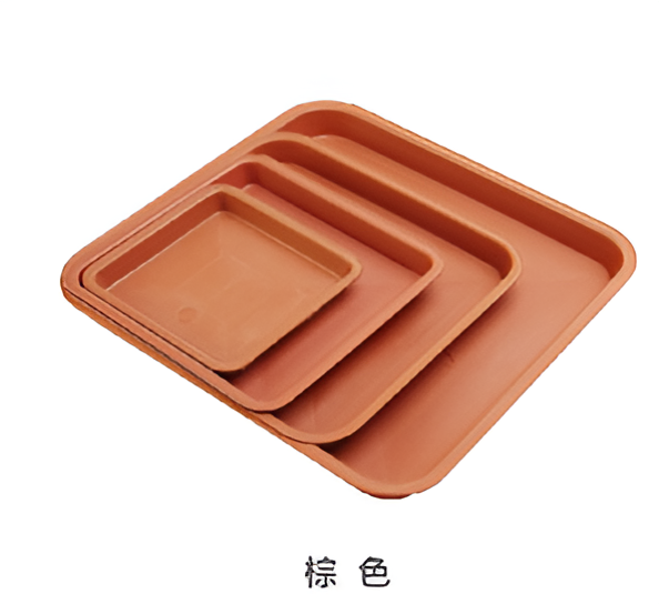 Flowers and Plants Pots