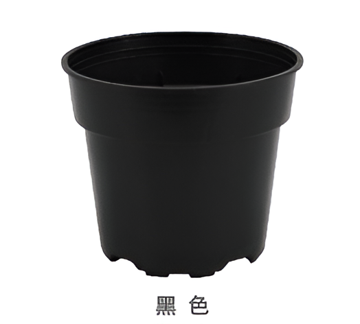 Flowers and Plants Pots