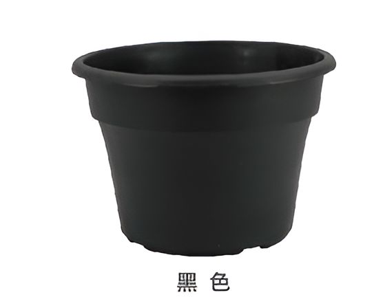 Flowers and Plants Pots