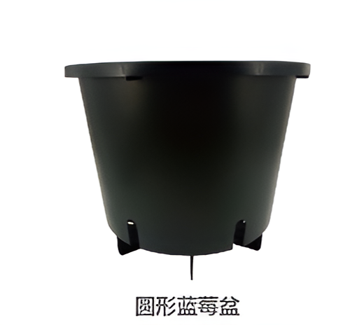 Flowers and Plants Pots