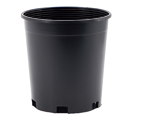 Flowers and Plants Pots