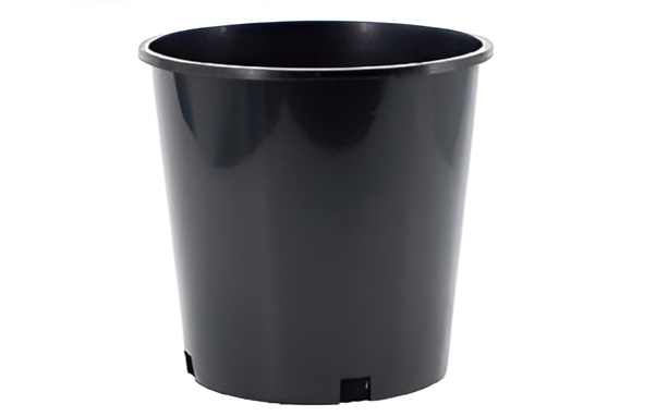 Flowers and Plants Pots