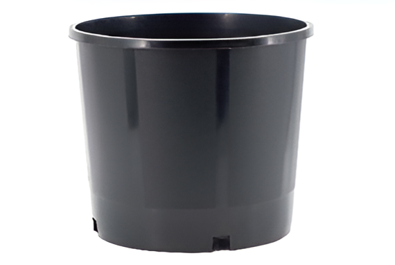 Flowers and Plants Pots