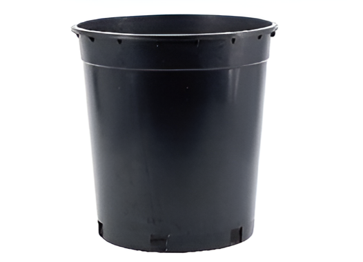 Flowers and Plants Pots