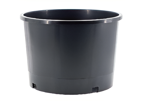 Flowers and Plants Pots