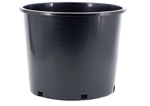 Flowers and Plants Pots