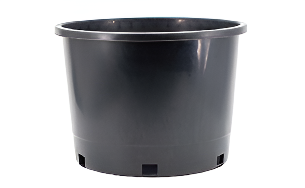 Flowers and Plants Pots