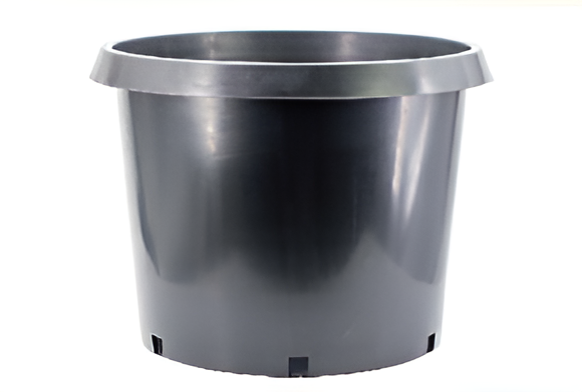 Flowers and Plants Pots