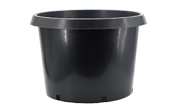 Flowers and Plants Pots