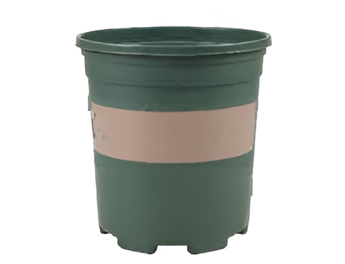 Flowers and Plants Pots