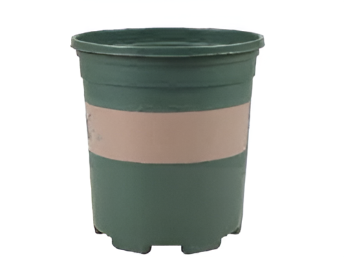 Flowers and Plants Pots