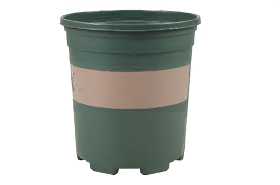 Flowers and Plants Pots