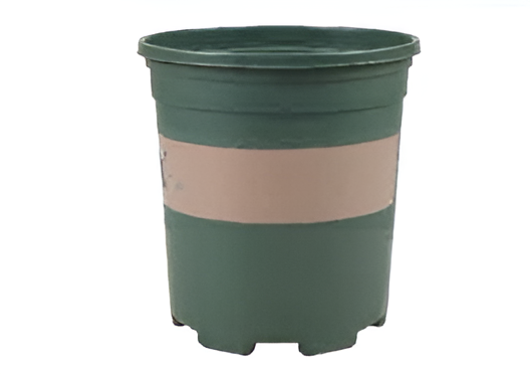 Flowers and Plants Pots