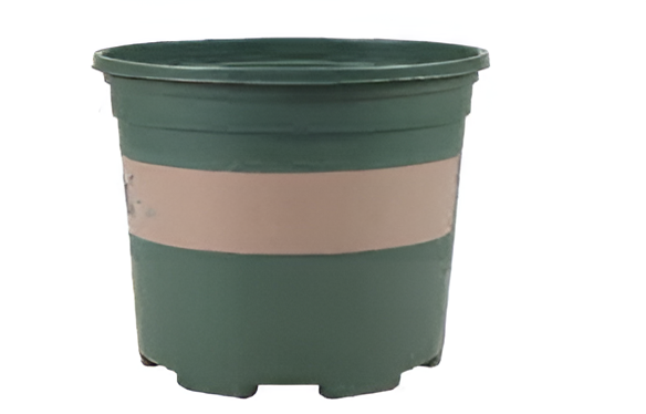 Flowers and Plants Pots