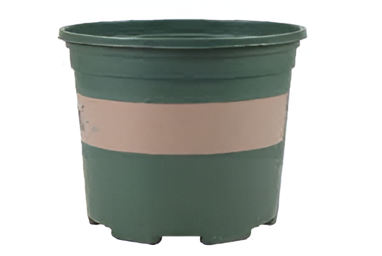 Flowers and Plants Pots