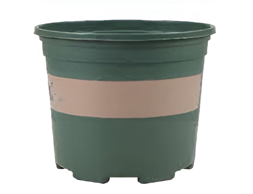 Flowers and Plants Pots