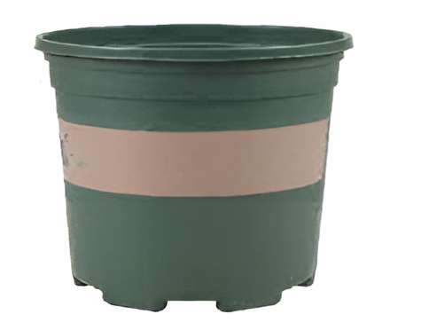 Flowers and Plants Pots