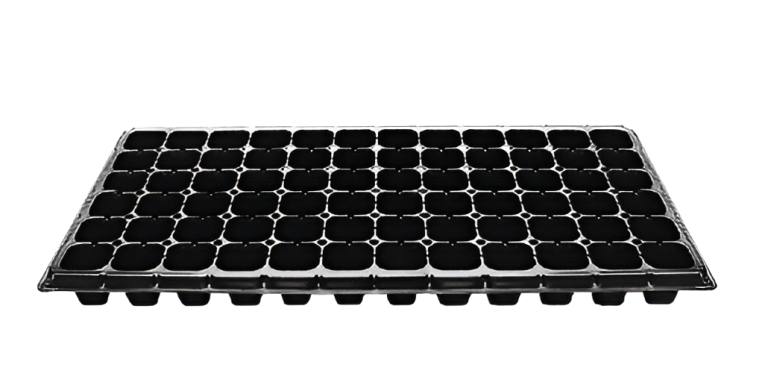 Flowers and Plants Pots