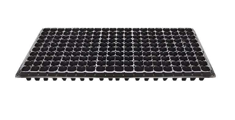 Flowers and Plants Pots