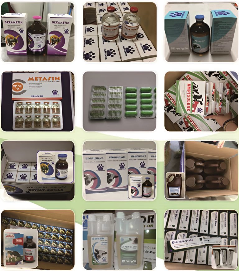 image-upscaled - 2025-06-11T224748