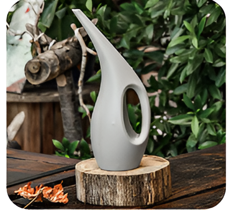 Flowers and Plants Pots