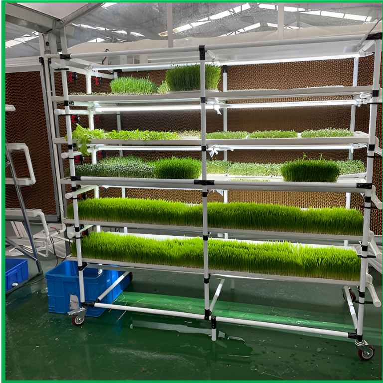 Hydroponic Series
