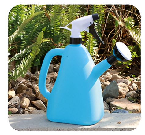 Flowers and Plants Pots