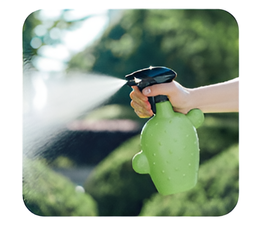 Flowers and Plants Pots