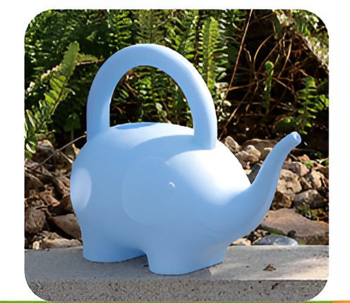 Flowers and Plants Pots