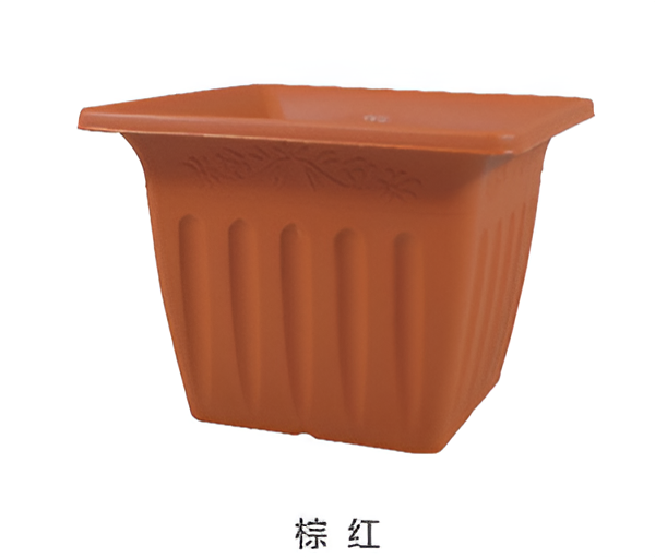 Flowers and Plants Pots