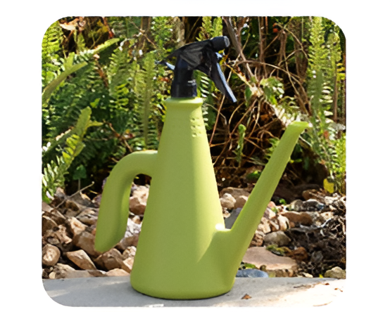 Flowers and Plants Pots