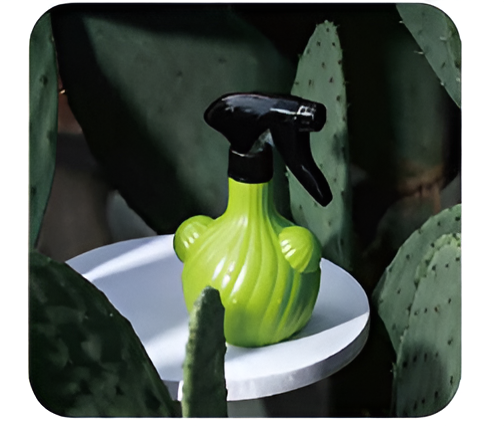 Flowers and Plants Pots