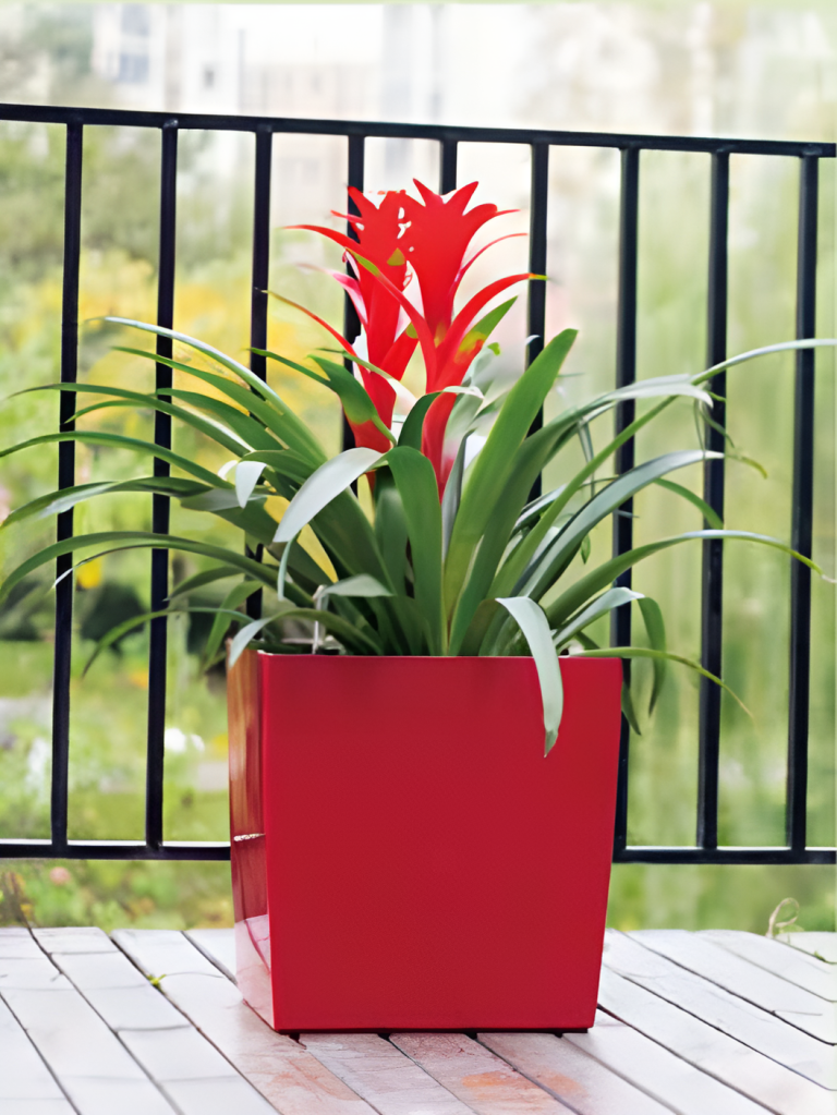 Self Watering Pots Planting