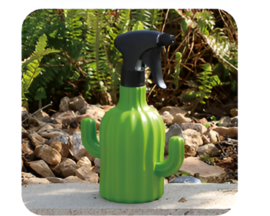 Flowers and Plants Pots