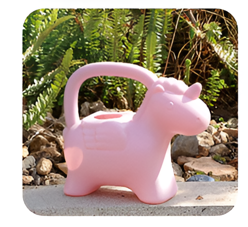 Flowers and Plants Pots