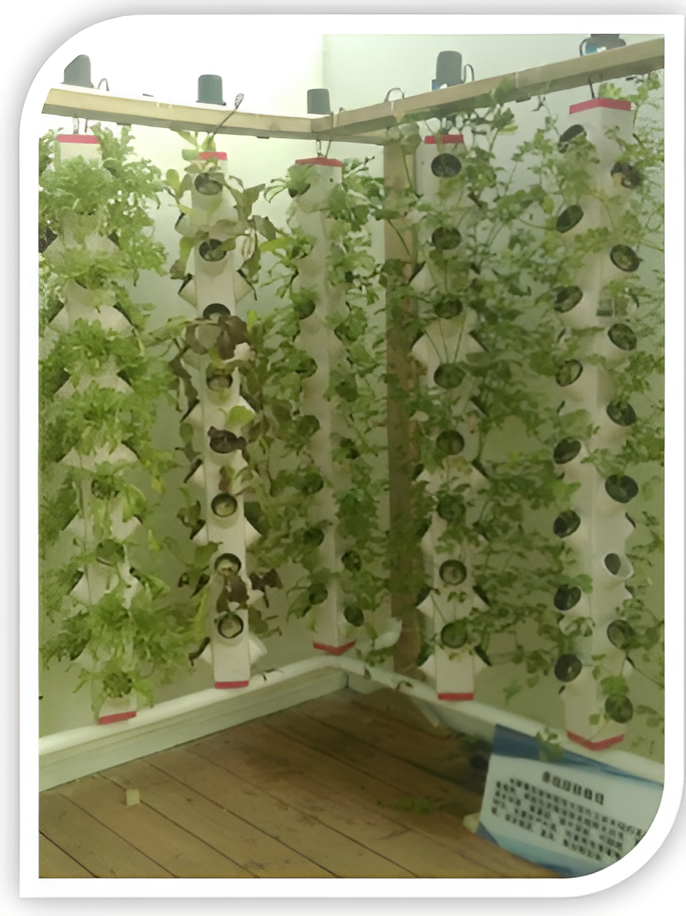 Hydroponic Series