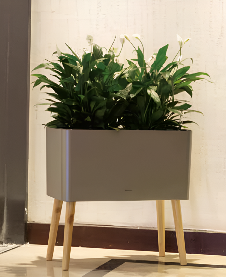 Self Watering Pots Planting