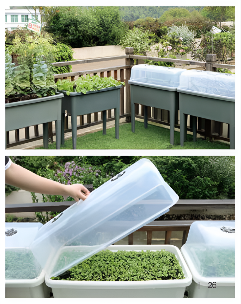 Self Watering Pots Planting