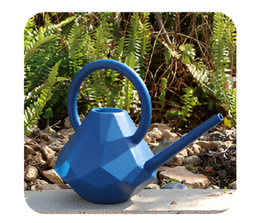 Flowers and Plants Pots