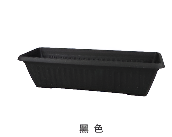 Flowers and Plants Pots