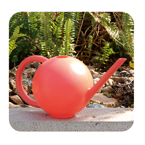 Flowers and Plants Pots